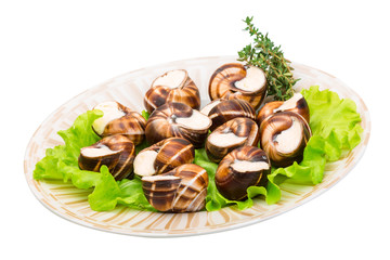 Escargot