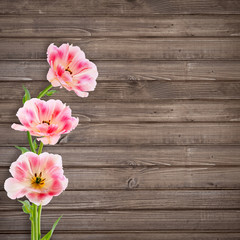 Beautiful bouquet of  tulips on  wooden background