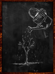 Watering Plant sketch on blackboard