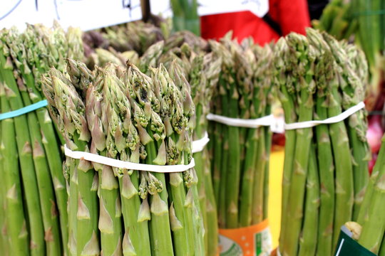 aspargo ortaggio tipico altedo pianura ferrarese