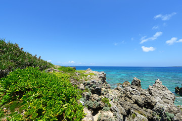 南国の美しいビーチと紺碧の空