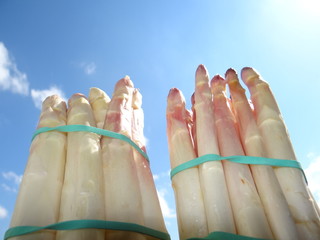 Bottes d'asperges