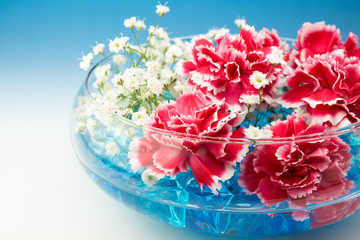 カーネーション