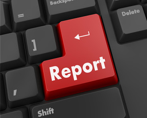 Fototapeta premium Report