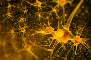 digital illustration neurons