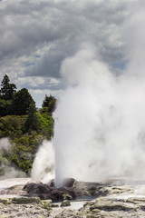 Fototapeta na wymiar Whakarewarewa thermal geyser area