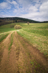 Fototapeta na wymiar Amazing spring countryside - road through the pasture