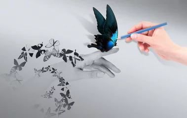 Crédence de cuisine en verre imprimé Papillon Concept d& 39 inspiration avec beau papillon