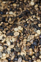 Coffee - Mixed Coffee Beans - Backgrounds And Textures