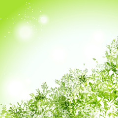 Fototapeta na wymiar 光りと緑の葉