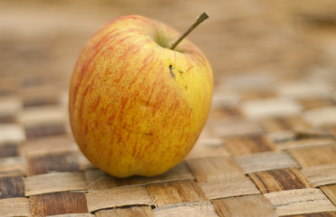 Apfel