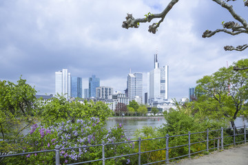 Fototapeta premium Skyline Frankfurt