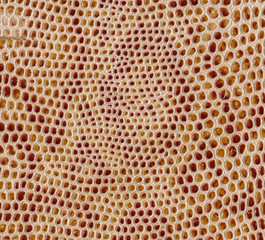 Snake leather skin imitation (python, boa)