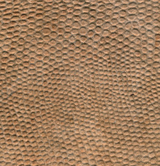 Snake leather skin imitation (python, boa) - inner surface