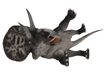 Dinosaur Zuniceratops