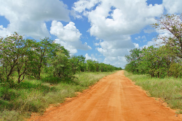 Fototapeta na wymiar African road in savannah, South Africa, Kruger national park