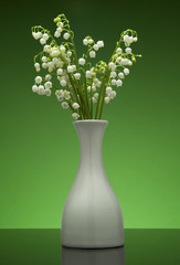 Lily of the valley  in flower pot on gradient blue background