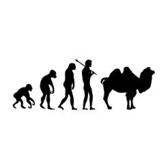 Kamel Evolution