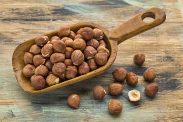 scoop of hazelnuts