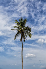 Negombo beach, Sri Lanka