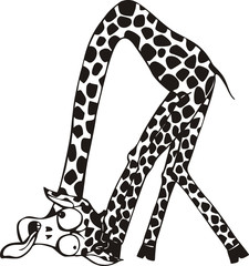 Funny giraffe