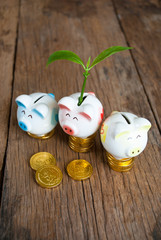 Fototapeta na wymiar Piggy bank with tree growing from it Growing your money concept