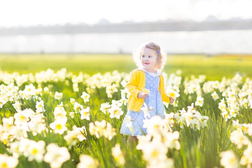Little toddler girl in blue dress running in field of flowers