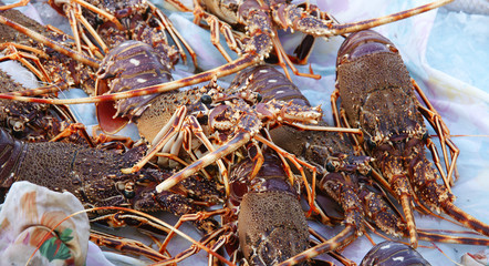 Mariscos en un mercadillo de Marsella, Francia