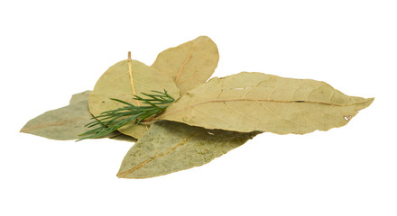 Laurel leaves heap