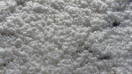 salt refinery