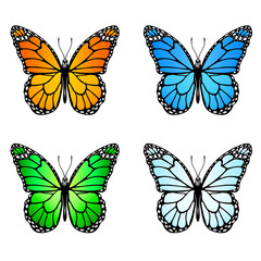 Fototapeta na wymiar Set of colored butterflies