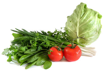 cabbage tomato spinach onions sorrel parsley