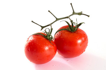 tomato