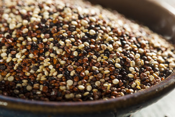 Organic Colorful Raw Quinoa