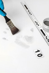 Fingerprint
