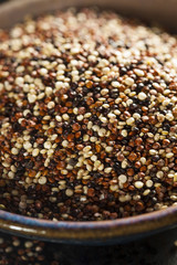 Organic Colorful Raw Quinoa