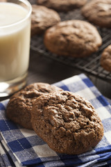 Homemade Double Chocolate Chip Cookies