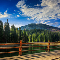 pier on lake in pine forest