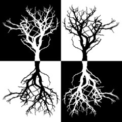 Black and white tree mirrored silhouettes