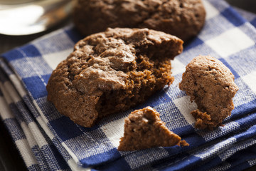 Homemade Double Chocolate Chip Cookies