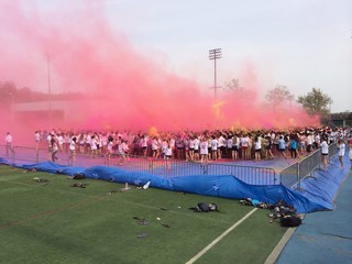 Holi spring festival of colors