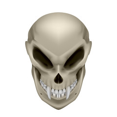 Skull of a mutant