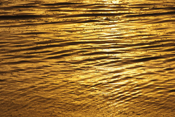 Golden water abstract