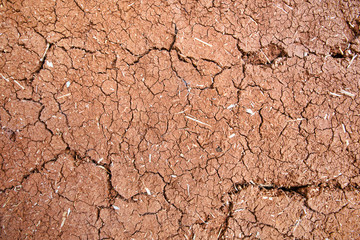 Natural  wall background wattle and daub