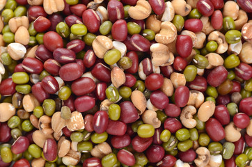 close up of different types of beans