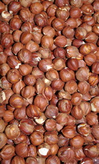 noisettes décortiquées