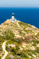 Revellata lighthouse with flowers and maquis in Corsica