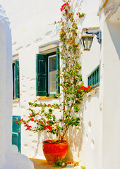 Fototapeta na wymiar old house in Chora the capital of Amorgos island in Greece