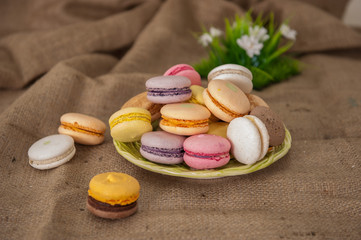 macaroons cookies