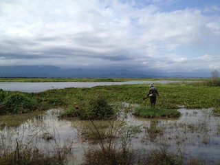 Landscape in Thailand